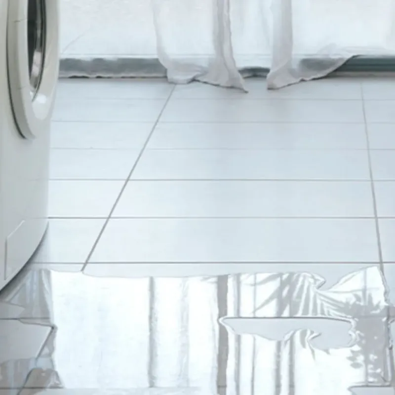 Appliance Leak Cleanup in Moline, IL