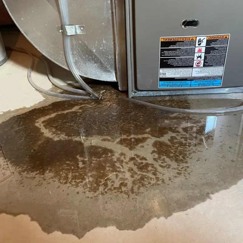 Pipe Burst and Leak Restoration in Moline, IL