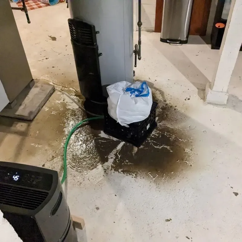 Sewage Backup Cleanup Service in Moline, IL